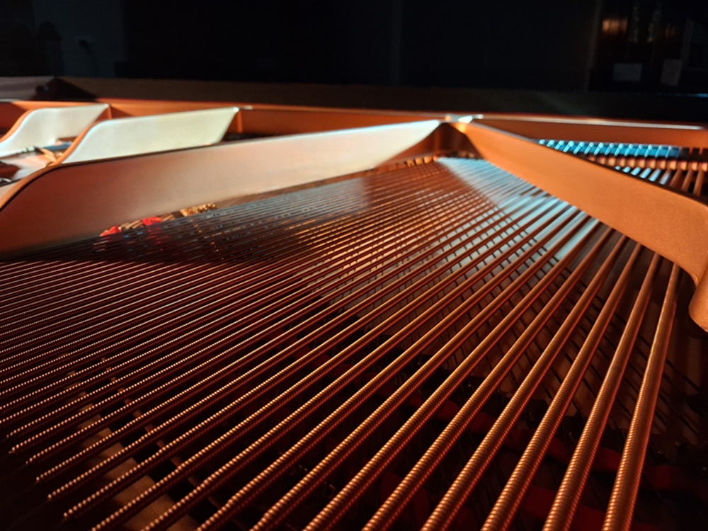 close up of grand piano strings
